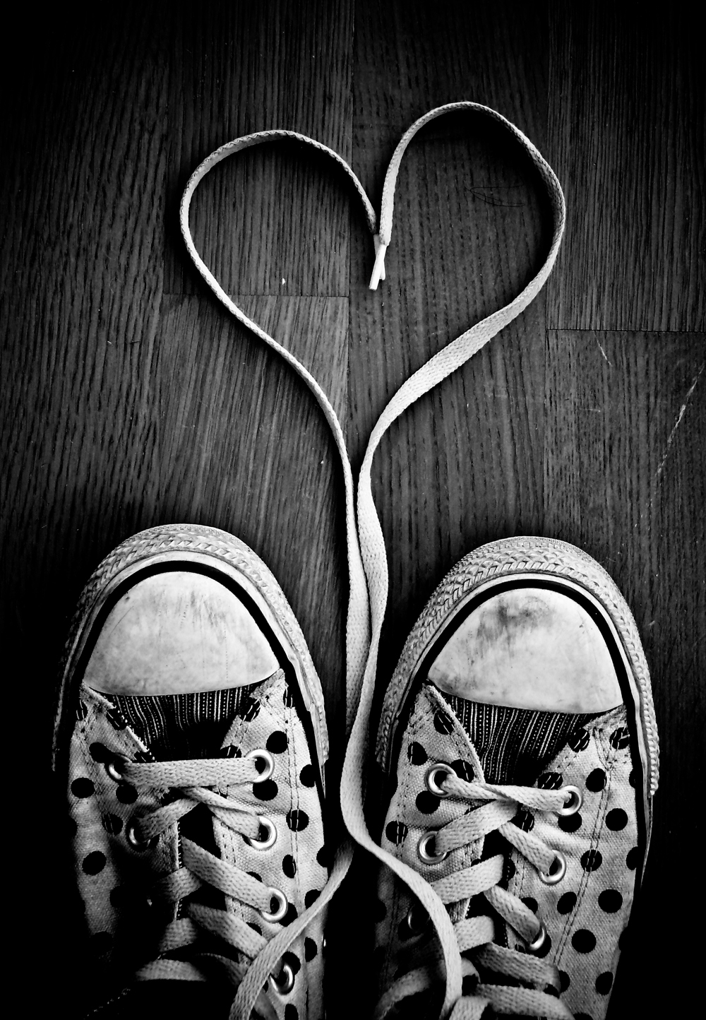 heart shoelaces